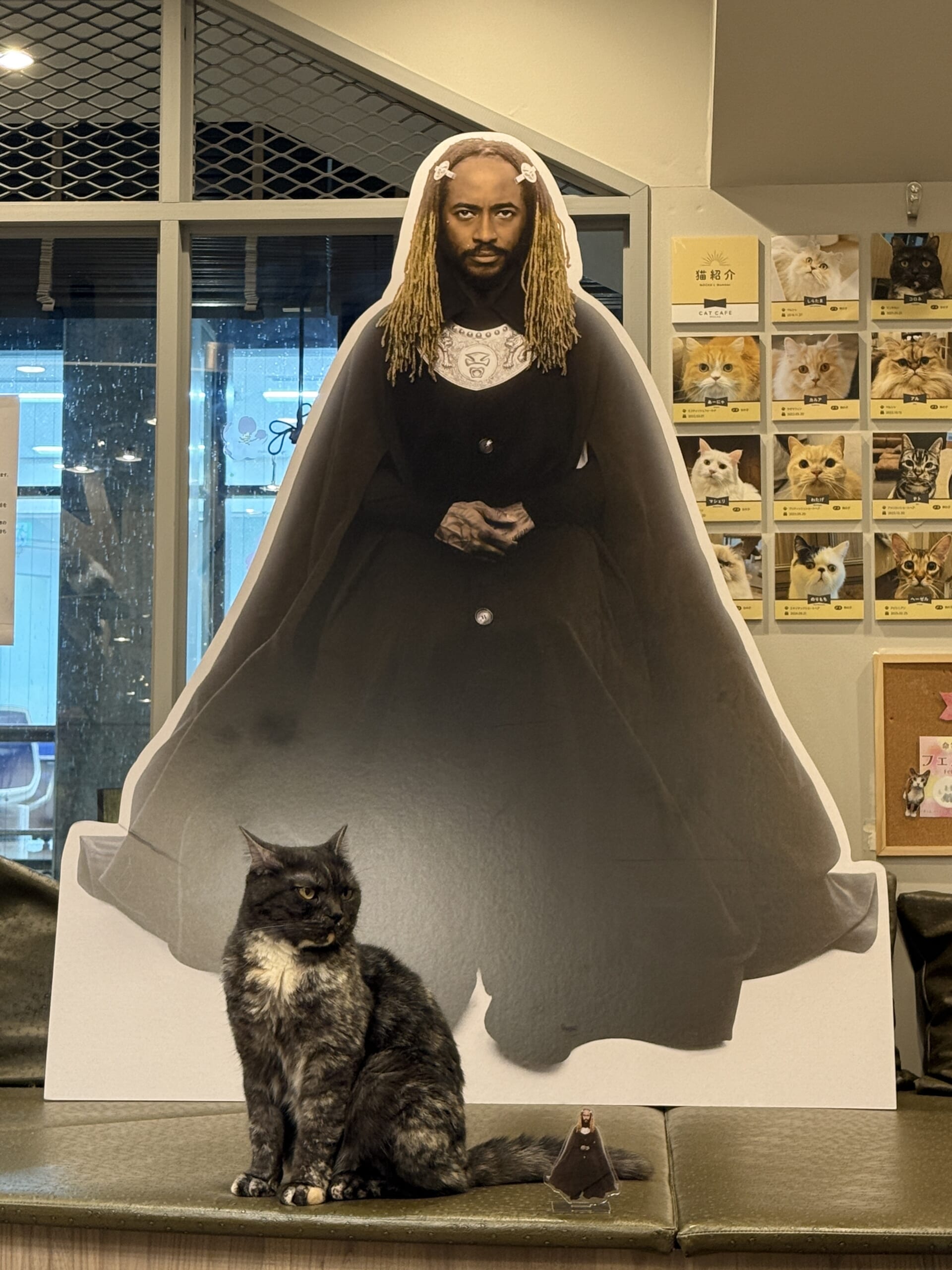 猫カフェで聴くThundercat、そのおかしな正しさについて IMG_0272-1-scaled