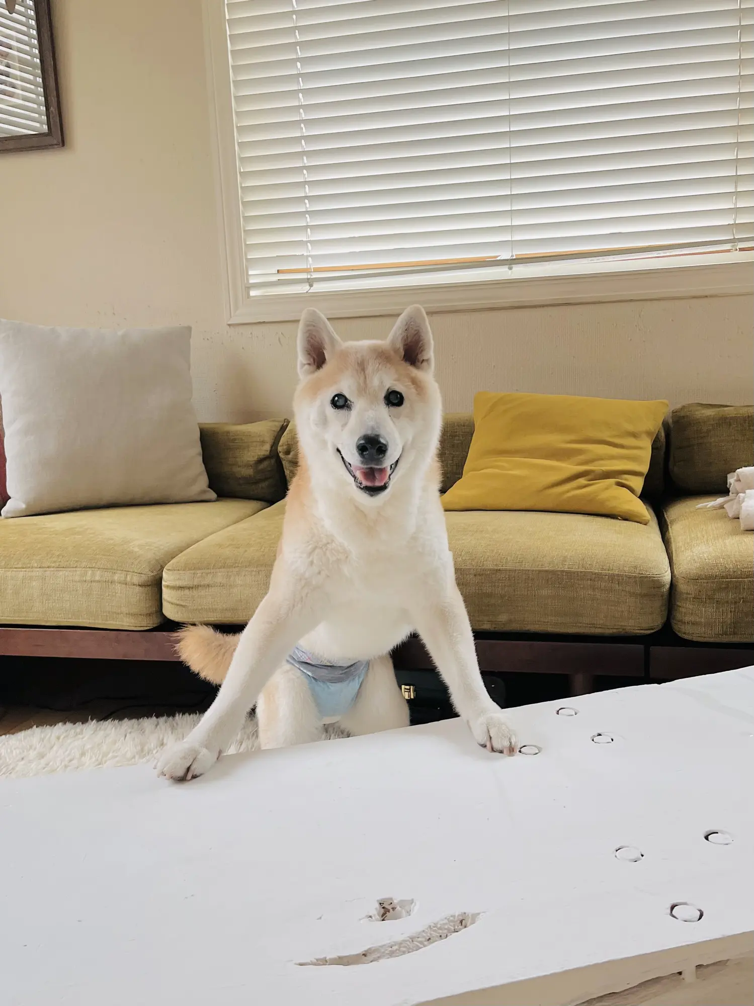 ‬曽我部恵一×黒田隆憲｜『きみがぼくになるまで』出版記念対談 IMG_8118