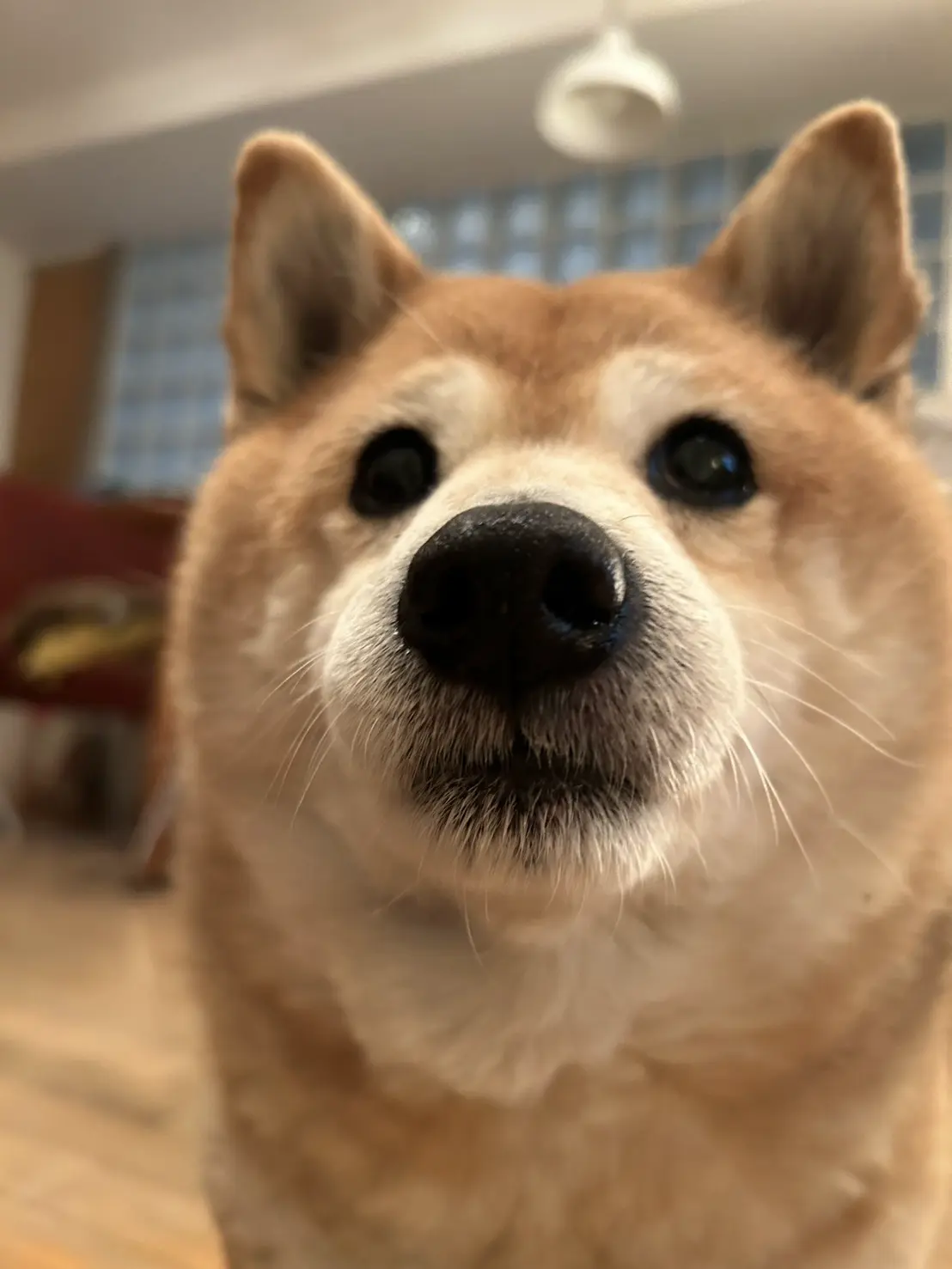 ‬曽我部恵一×黒田隆憲｜『きみがぼくになるまで』出版記念対談 S__34807819_0