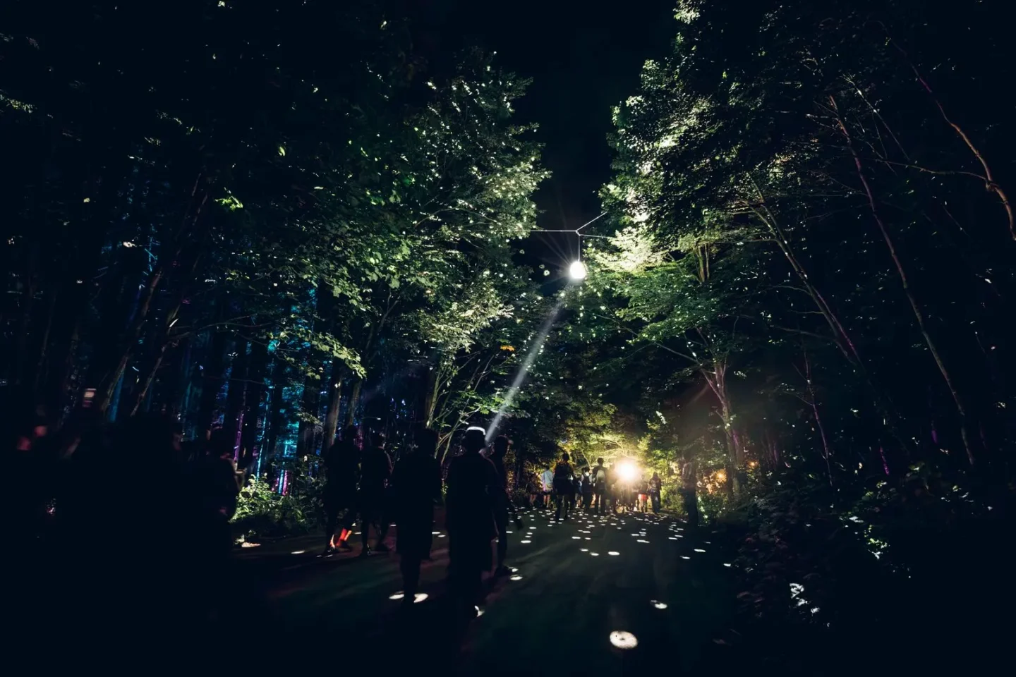 想定外が、最高の思い出になる ──＜FUJI ROCK FESTIVAL '26＞総括レポート image-1-1440x960