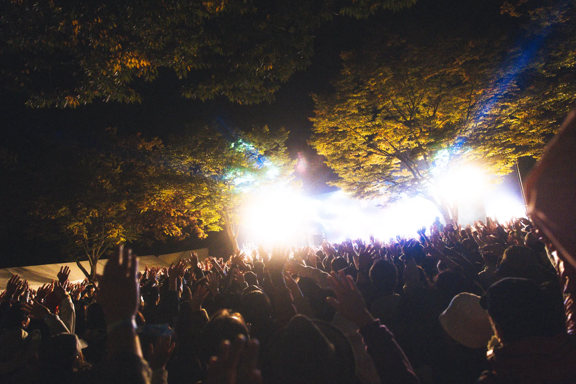 LIVE AZUMA：なぜPARK STAGEは面白いのか？  ジャンルを横断するラインナップから見えてくるもの 15_231014_KS_03290