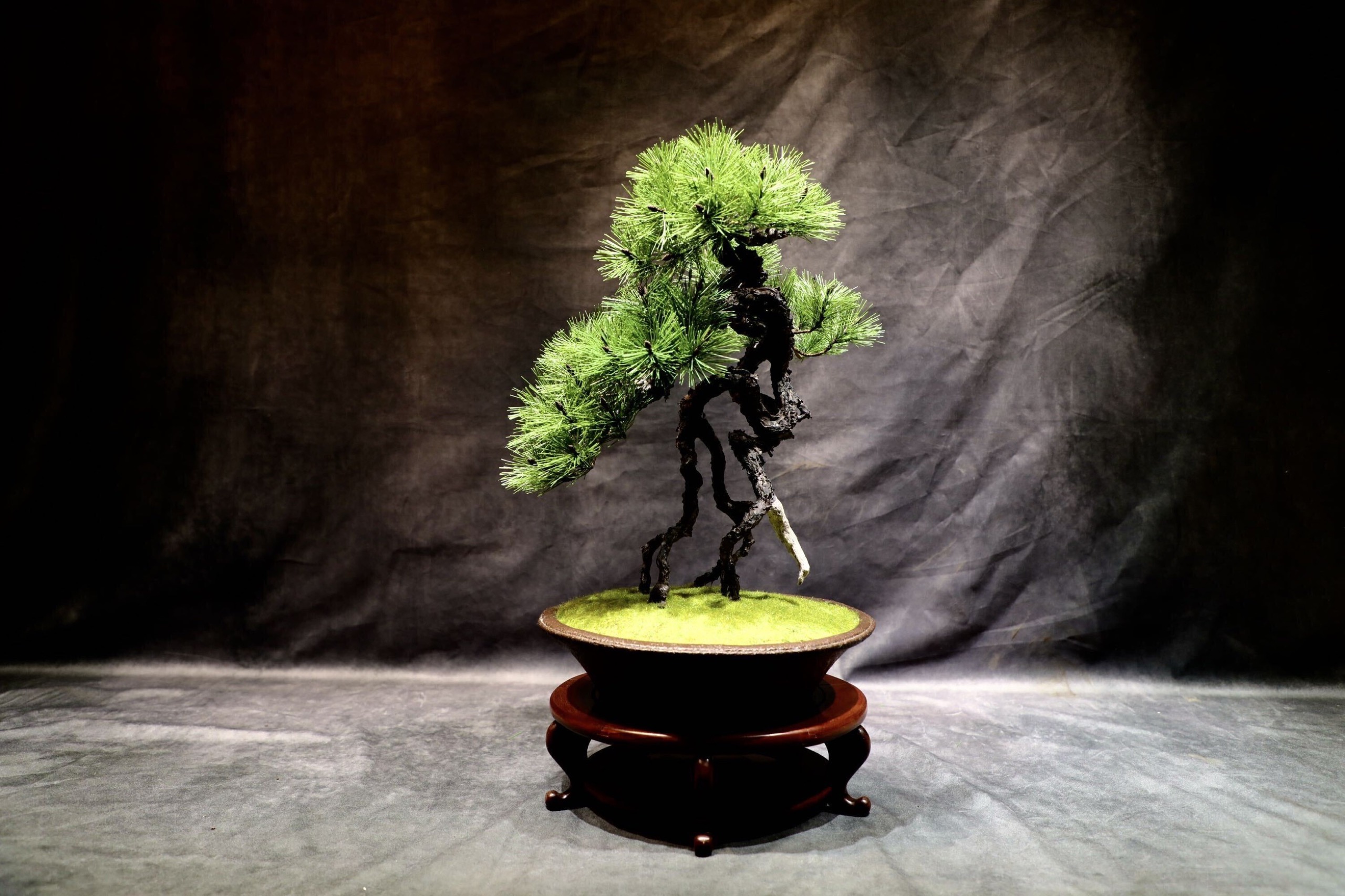 盆栽作家・眞利子大輔が土佐和紙で樹木を造形するJUME BONSAI「匠景 — SHOKEI —」初個展がMIYASHITA PARKで開催 03_S__208461855_0