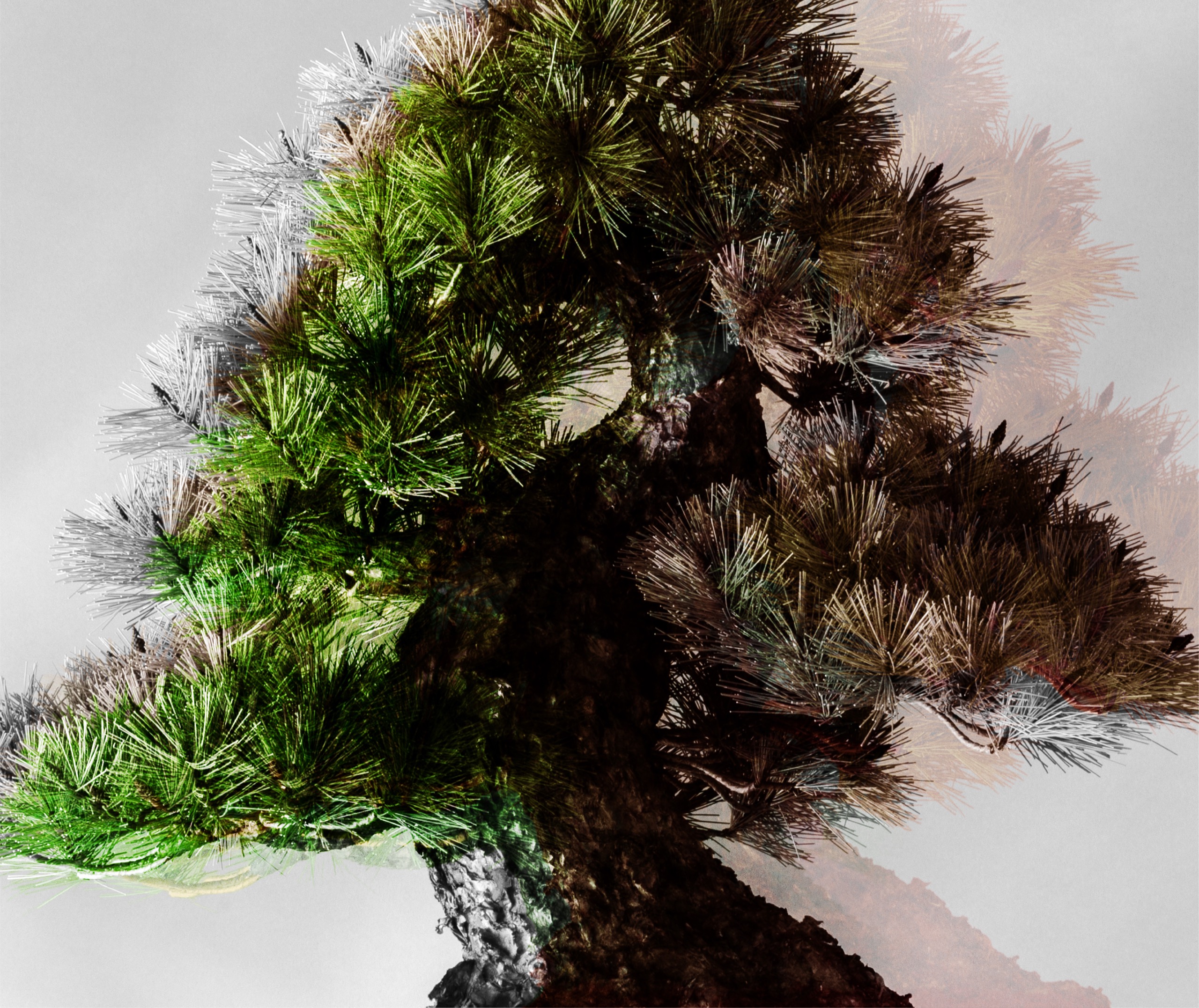 盆栽作家・眞利子大輔が土佐和紙で樹木を造形するJUME BONSAI「匠景 — SHOKEI —」初個展がMIYASHITA PARKで開催 05_JUME_visual