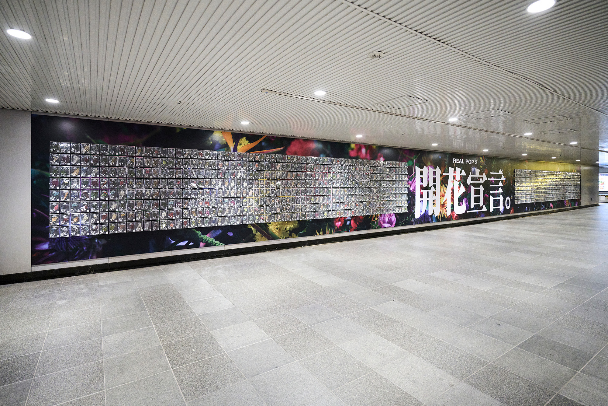 【COLUMN & REPORT】「Aile The Shota」はいま、どう語られるのか ── 開花宣言の目撃者 ailetheshota_473018_01re-1